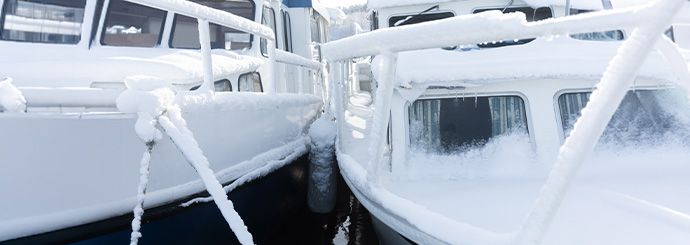 thumbnail_DNA_nws_Winterklaar met DNA.jpg
